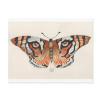 tiger's eye butterfly postcards