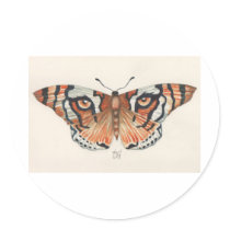 tiger's eye butterfly stickers