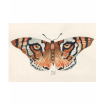 tiger's eye butterfly t-shirts