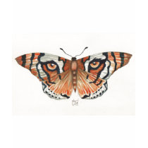 tiger's eye butterfly t-shirts