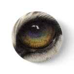 Tiger's Eye Pinback Buttons