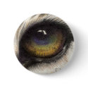 Tiger's Eye buttons