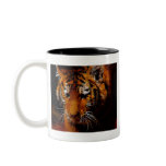 Tigers eyes coffee mugs