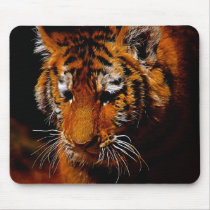 Tigers eyes mousepad
