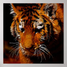Tigers eyes poster
