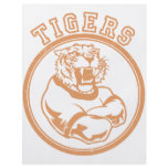 Tigers Custom Flyer