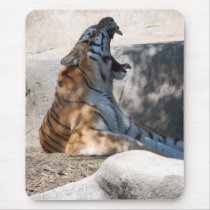 Tigers Roar Mouse Pad