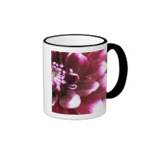 Tight in photographs of Dalhia flower with the Coffee Mugs