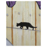 tightrope walking cat flyers