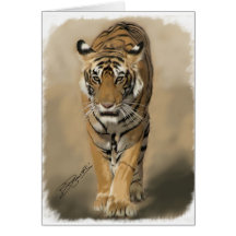 Tigress of Ranthambhore (Satra) Greeting Card