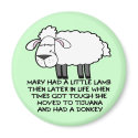 Tijuana Donkey magnets