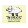 Tijuana Donkey Postcard