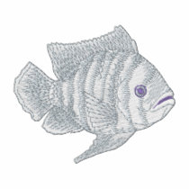 Tilapia