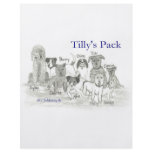 Tilly's Pack flyers