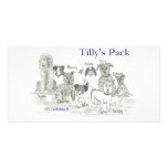 Tilly's Pack photo cards