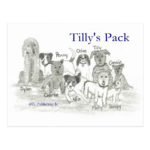 Tilly's Pack Post Card