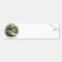Timber Wolf Bumper Sticker