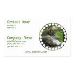 Timber Wolf  Business Card