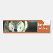 Timber Wolf from Junglewalk.com Bumper Sticker