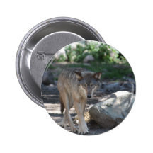 Timber Wolf Pin