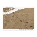 Time Footprint... Postcards