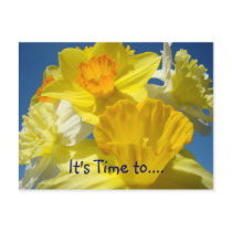 Time for Annual Service post cards Spring Service