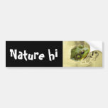 time for frog bumper sticker