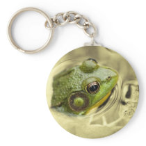time for frog