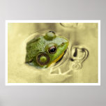 time for frog