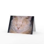 "Time for my close-up!" Cards