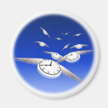 Time in Flight Fridge Magnets