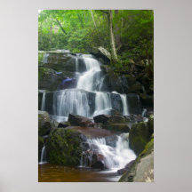 Time Lapse Waterfall Forest Posters