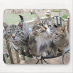 Time To Eat Kitty Cat Mousepad