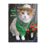 Time to Plant! postcards