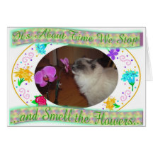 Time to Smell the Flowers Card