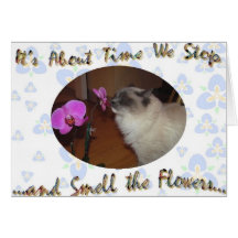 Time to Smell the Flowers Greeting Card