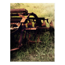 Timeless - Brier Hill, NY Postcard