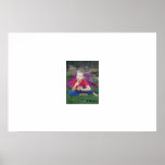 Timeless Innocence posters