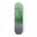 Timms Hill Park Wisconsin skateboards