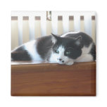 Timmy Refrigerator Magnet