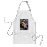 Timneh African Grey Parrot Apron