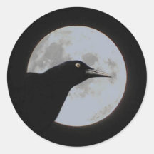 Timour Sticker