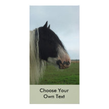 Tinker Profile Portrait Personalized Photo Card