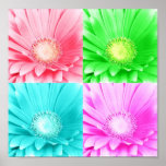 Tinted Gerbera Daisy Canvas Poster posters