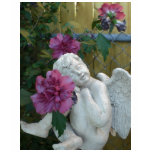 Tiny Angel Top t-shirts