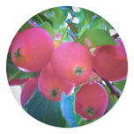 Tiny Apples stickers