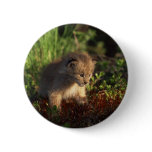 Tiny Baby Lynx Pin