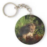 Tiny Baby Lynx Keychain