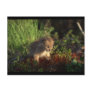 Tiny Baby Lynx Post Card