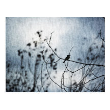 Tiny Bird Silhouette Postcard